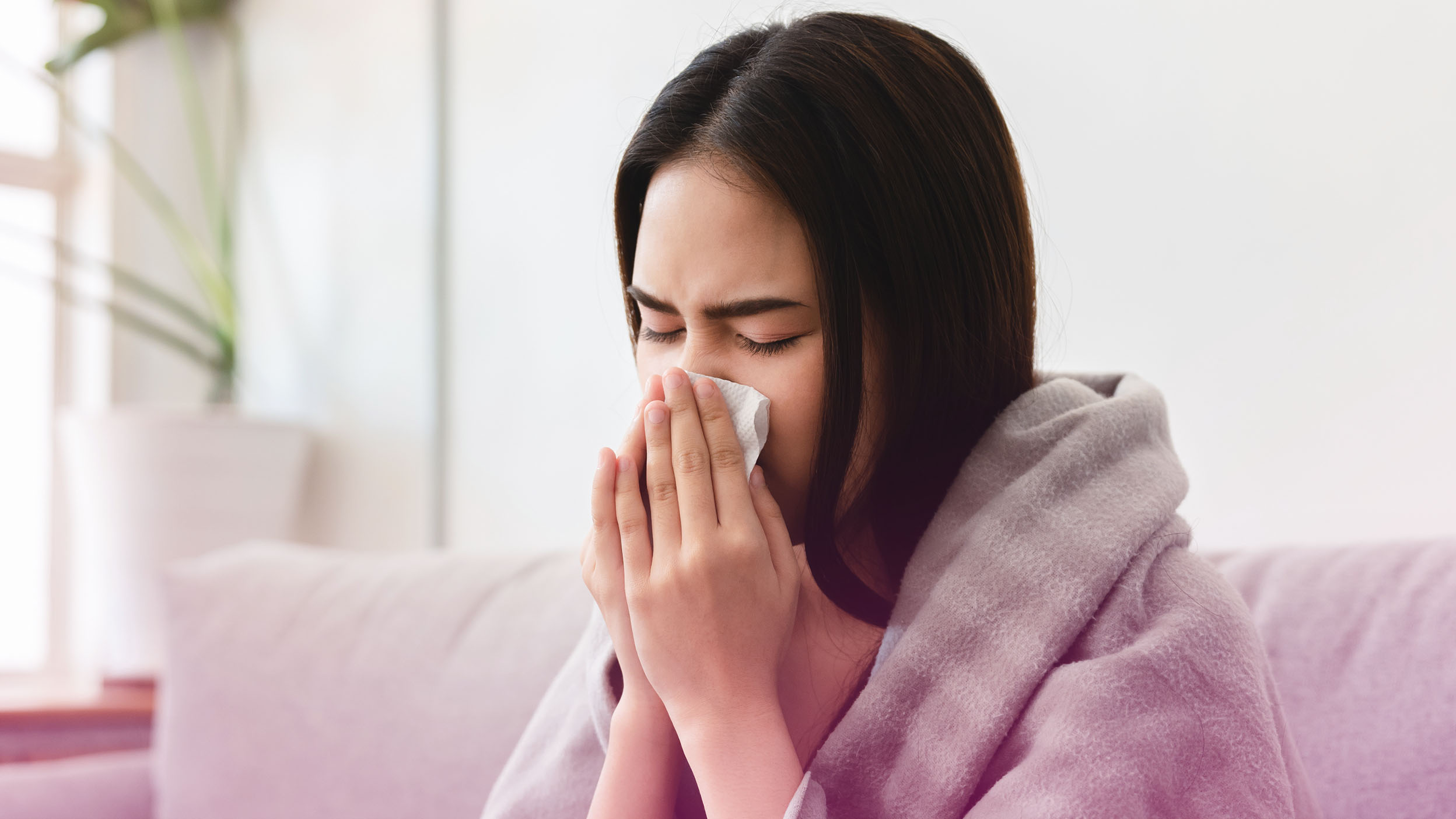 Article Banner My Outward Sneeze